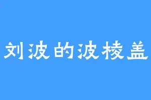 刘波的波棱盖