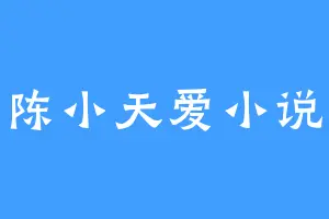 陈小天爱小说