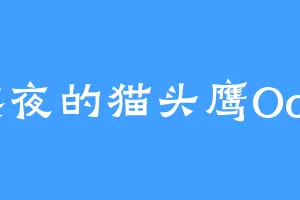 熬夜的猫头鹰OoO