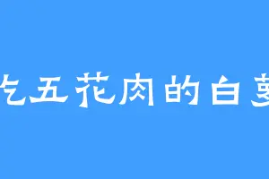 爱吃五花肉的白萝卜