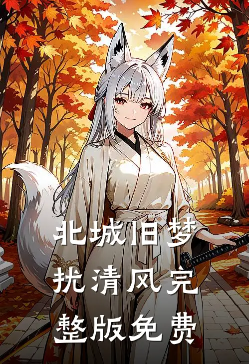 北城旧梦扰清风完整版免费
