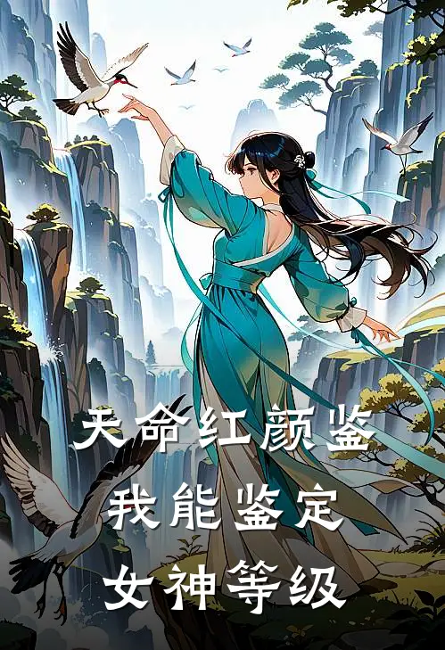 天命红颜鉴：我能鉴定女神等级