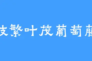 枝繁叶茂葡萄藤