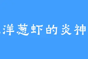 爱吃洋葱虾的炎神界王