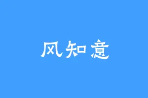 风知意
