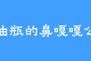 挂油瓶的鼻嘎嘎公主
