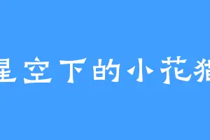 星空下的小花猫