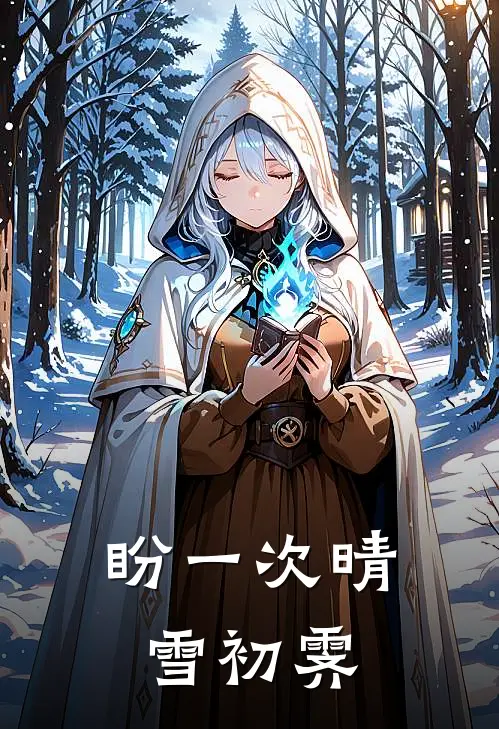 盼一次晴雪初霁