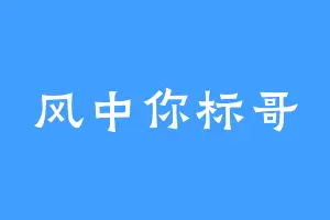 风中你标哥