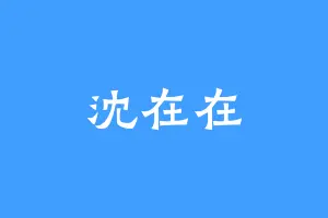 沈在在