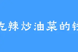 爱吃辣炒油菜的钱枫
