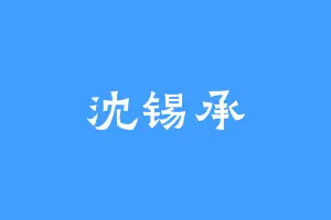 沈锡承