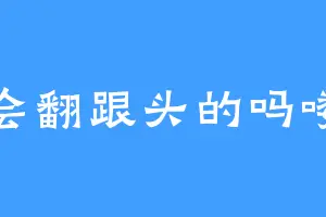 会翻跟头的吗喽