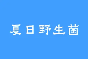 夏日野生菌