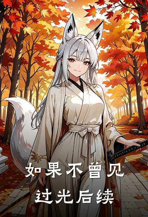 如果不曾见过光后续