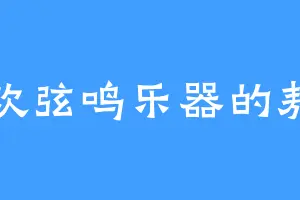 喜欢弦鸣乐器的敖闵