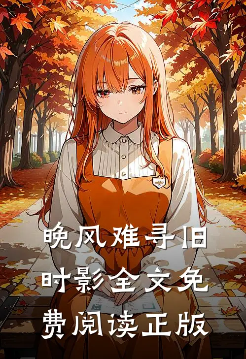 晚风难寻旧时影全文免费阅读正版