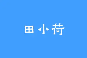 田小荷