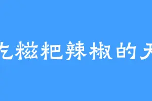 爱吃糍粑辣椒的天辰