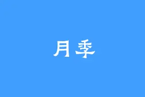 月季
