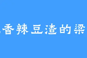 爱吃香辣豆渣的梁一道