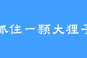 抓住一颗大狸子