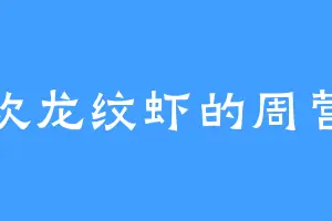 喜欢龙纹虾的周营长