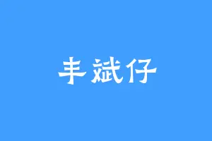 丰斌仔