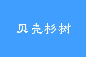 贝壳杉树