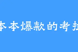 本本爆款的考拉