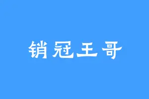 销冠王哥