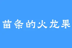 苗条的火龙果