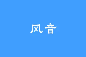 风音