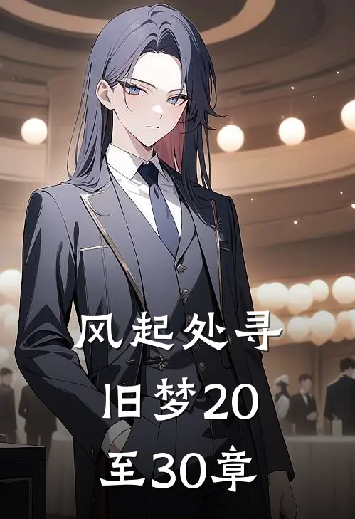 风起处寻旧梦20至30章