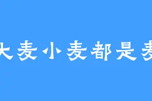 大麦小麦都是麦