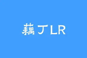 藕丁LR