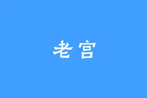 老宫