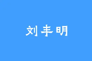 刘丰明