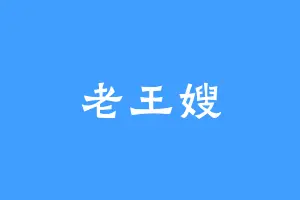 老王嫂